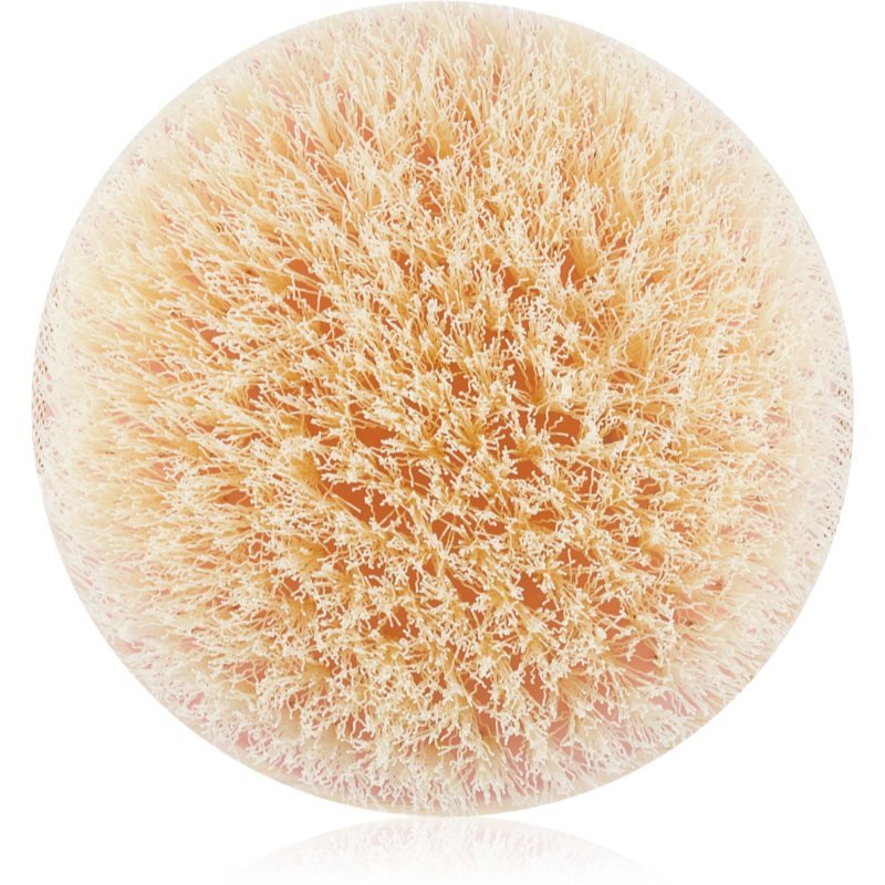 EcoTools Bath & Shower Dry Body exfoliační suchý kartáč 1 ks - parfo.cz