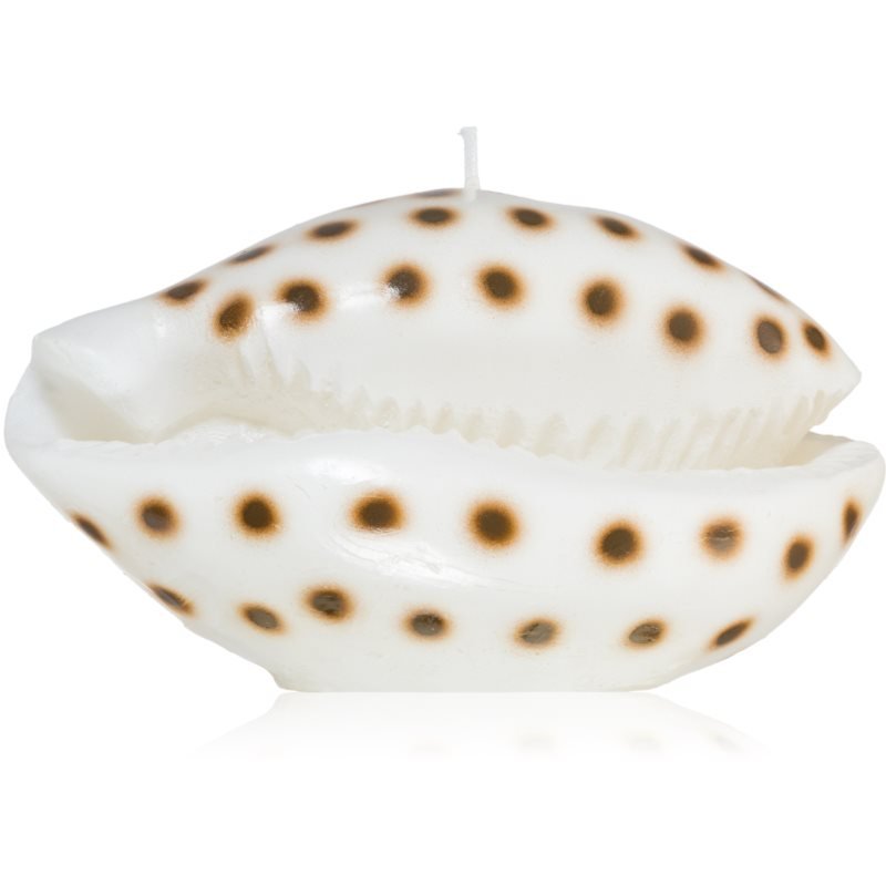 Rivièra Maison Shell dekorativní svíčka 716 g - parfo.cz