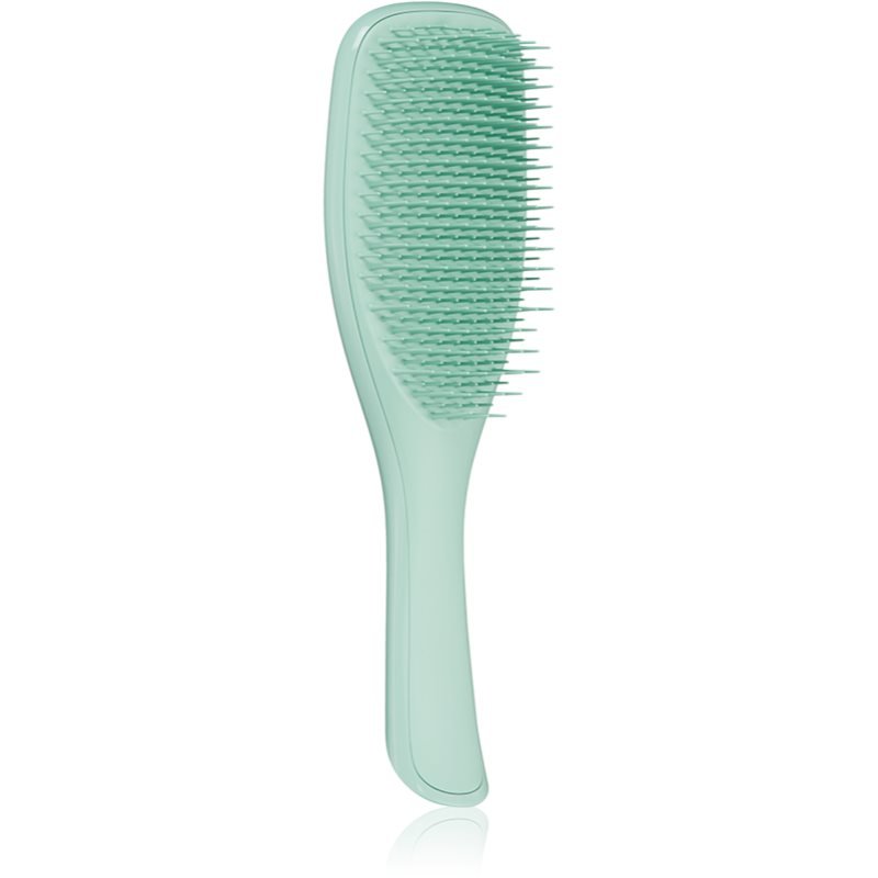 Tangle Teezer Ultimate Detangler Fine & Fragile Dark Teal plochý kartáč pro všechny typy vlasů 1 ks - parfo.cz